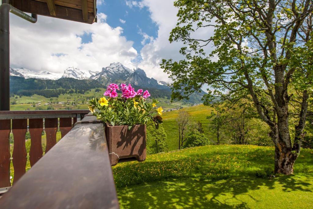 Schwendi Lodge Unterwasser Cameră foto